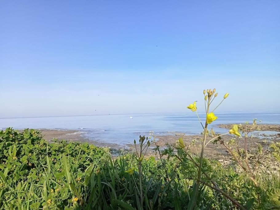 Soleil D'Opale Et Son Grand Jardin Villa Wimereux Bagian luar foto